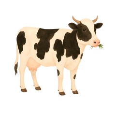 Freehand minimalistic watercolor illustration of a cow isolated on a white background. Hand drawn a child's  watercolour drawing of a cowhide. Farm animal cowlike for design.