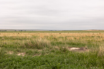 Fototapeta premium Monument rock and the donkeys that live on the land