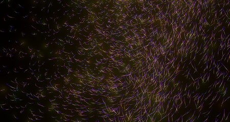 Abstract Colorful Lines on Black Background