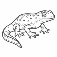 Lizard Illustration – Reptile Line Art Drawing