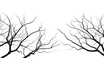Obraz premium Black and white bare tree branches with stark contrast isolated on white background 
