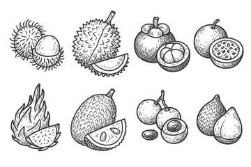 Tropical Fruit Icons