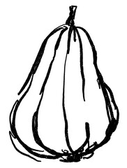 Doodle elements of vegetable and fruits, specifically a butternut squash