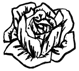 Doodle elements of vegetable and fruits, specifically a Cabbage