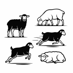 sheep animals collection vector