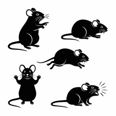 black and white mouse