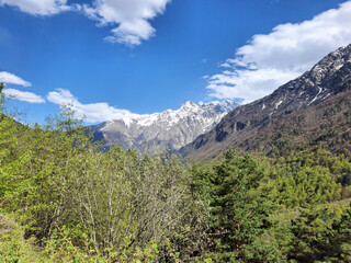 Obraz premium Scenic mountain landscape with lush greenery and blue sky 
