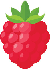 Raspberry Vector Illustration with Detailed Texture.