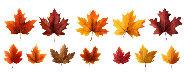 maple leaves icon collection isolated on transparent background. vector illustration