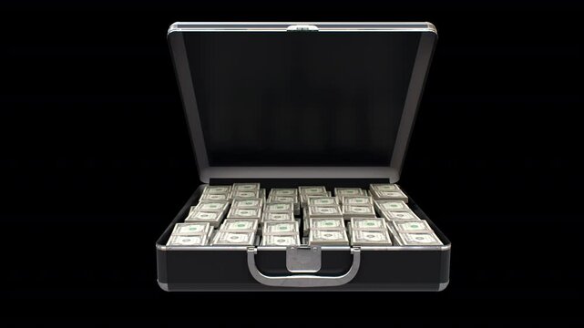 Money Inside Suitcase 3D Video Animation