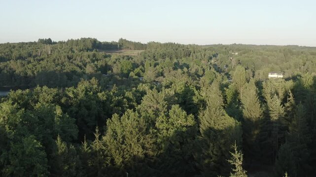 Aerial view flying over lush green forest canopy, revealing distant lake and landscape, Marcillac La Croisille, France