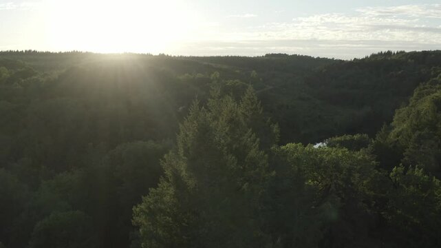 Aerial view flying towards sun setting over dense forest, revealing glimpses of lake, Marcillac La Croisille, France
