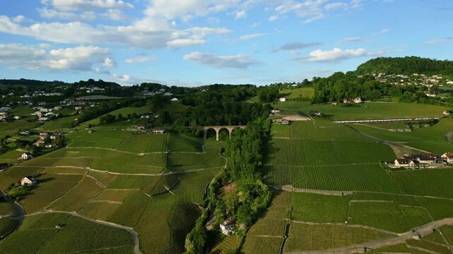 Aerial: Swiss Federal Railways train moving in the vineyards of Lavaux near Lutry during the day in canton of Vaud, Switzerland, establishing drone shot