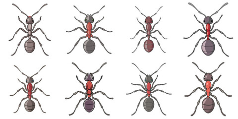 Vector illustration of multiple ants, outline
