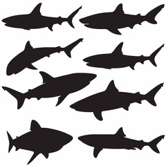 Shark silhouette vector graphics collection of marine predator images for design and illustration work