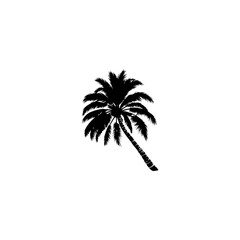 
Palm trees design