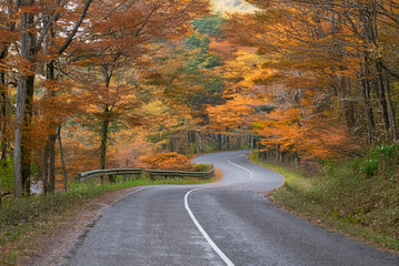 A winding mountain road lined with vibrant autumn foliage in red, orange, and yellow hues under a canopy of trees.