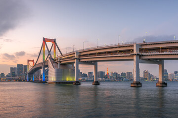 Tokyo, Japan skyline panorama with Rainbow Bridge