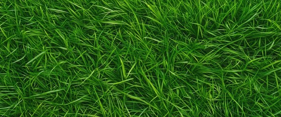 Green Grass Background Texture with design element, featuring empty copy space for text.