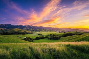 Tranquil Sunset Over a Peaceful Meadow with Swaying Grasses
