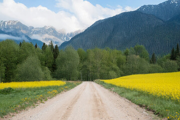 A dirt road stretches through fields of yellow flowers and dense green forest, leading to majestic mountains under a partly cloudy sky.