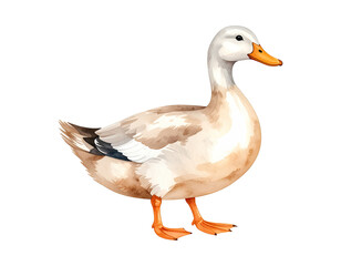 Fototapeta premium Cartoon watercolor illustration of duck. Animal clipart illustration.