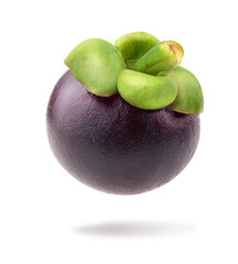 Mangosteen levitated isolated on white background. (photo image with retouching process)
