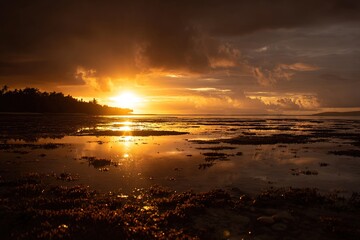 Obraz premium Golden Sunrise Over Calm Tropical Beach