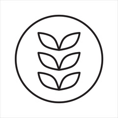 Farm wheat ears icon vector template. color editable on white background. eps 10