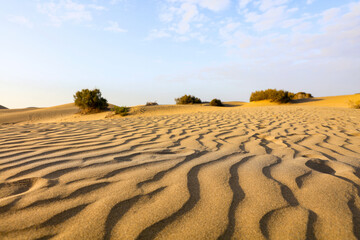 Hot, sunlit sand with natural wavy patterns resembling small dunes on wild, untouched beach. Calm...