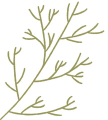 Olive Branch Illustration Simple Botanical Line Art Drawing