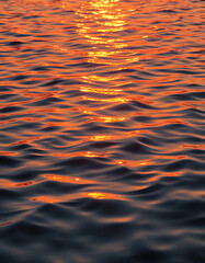 Glistening water ripple pattern with warm sunset hues, shimmering golden reflections dancing on gentle waves, sticker style. with white shades