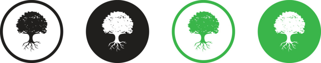  tree silhouettes. Evergreen forest firs and spruces black shapes, wild nature trees templates. Vector illustration woodland trees set on white background