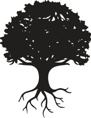  tree silhouettes. Evergreen forest firs and spruces black shapes, wild nature trees templates. Vector illustration woodland trees set on white background