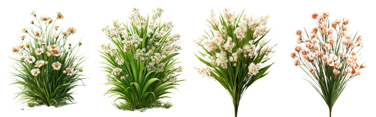 Soft Blooming Flowers in Various Colors for Nature Decor