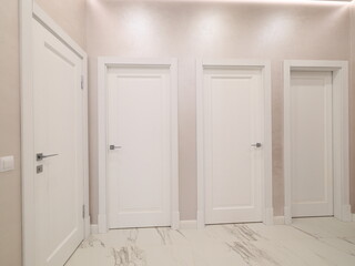 Modern Minimalist Interior Featuring Beautiful White Doors and Chic Design Elements