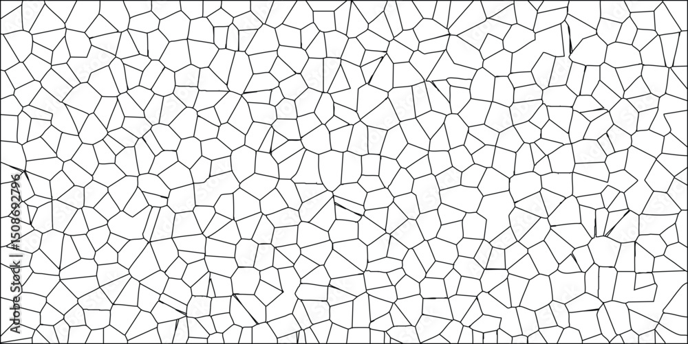 Wall mural abstract geometric pattern of irregular polygons with black lines on white background perfect for de
