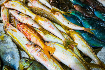Beautiful view of fresh fish (including parrotfish) displayed for sale on a sales counter at a fish...