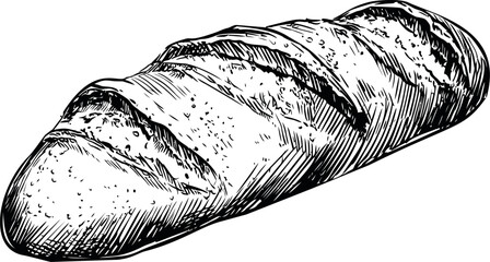 Hand-drawn detailed illustration of a crusty fresh baguette in black and white. Vector illustration