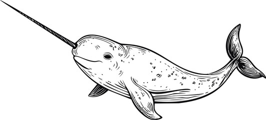 Obraz premium Black and white sketch of a majestic narwhal with detailed textures. Vector illustration