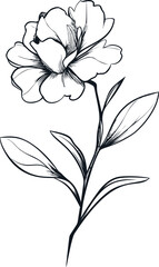 Black and white outline of a blooming flower with leaves, botanical sketch. Vector illustration