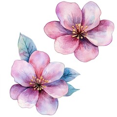 Pink And Purple Watercolor Flowers