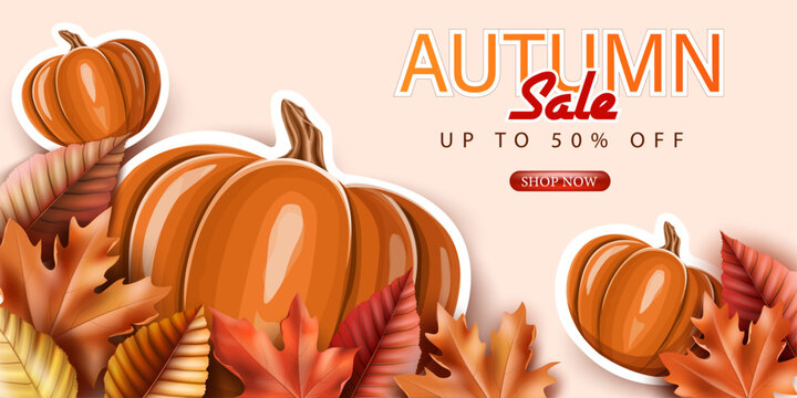 up to 50% off.autumn sale background.special offer,discount and autumn business promotion banner.pumpkin paper cut arts and meple leaves decorative modern backdrop vector illustration.