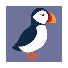 Cute flat illustration of an atlantic puffin bird on a light purple background