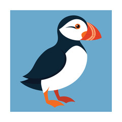 Cute cartoon illustration of an atlantic puffin bird standing against a light blue background