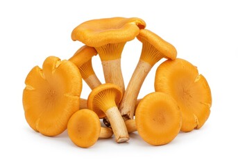 Pile of golden chanterelle mushrooms on a white background