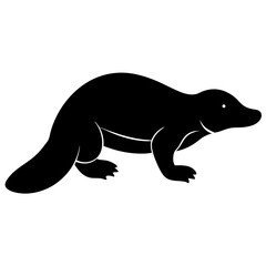 sea lion vector