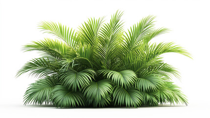 Fototapeta premium Realistic palm leaves shrubs corner on white background