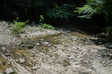 Shallow stream flows gently over rocky terrain, surrounded by lush greenery. Sunlight filters...