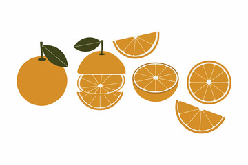 Big vector collection of fresh oranges. Orange fruit isolated on white background. Vector illustration for design and print